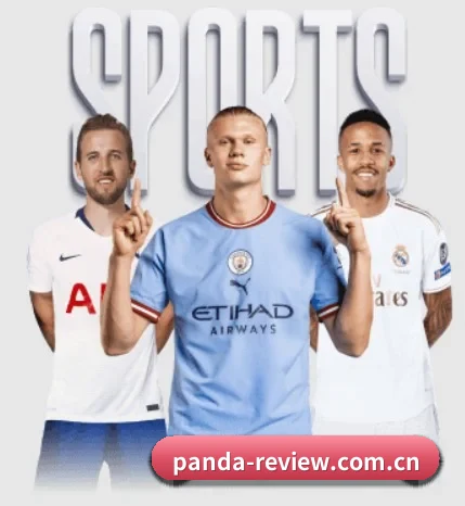 熊猫即时比分 APP
