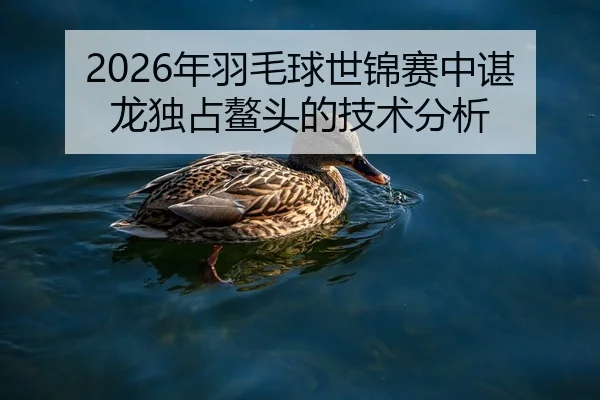2026年羽毛球世锦赛中谌龙独占鳌头的技术分析