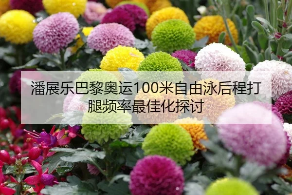 潘展乐巴黎奥运100米自由泳后程打腿频率最佳化探讨