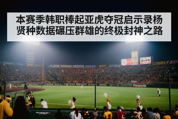 baseball stadium night